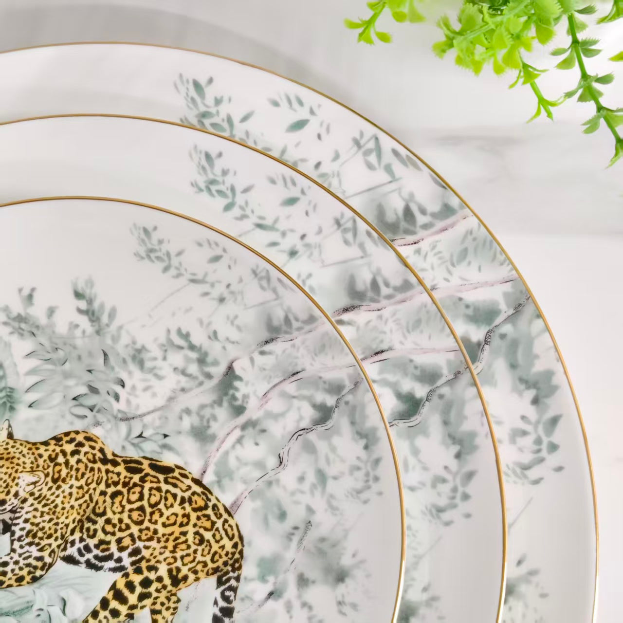Servizio piatti "Leopard" (piatti fondi da 30 cm + 25 cm + 20 cm)