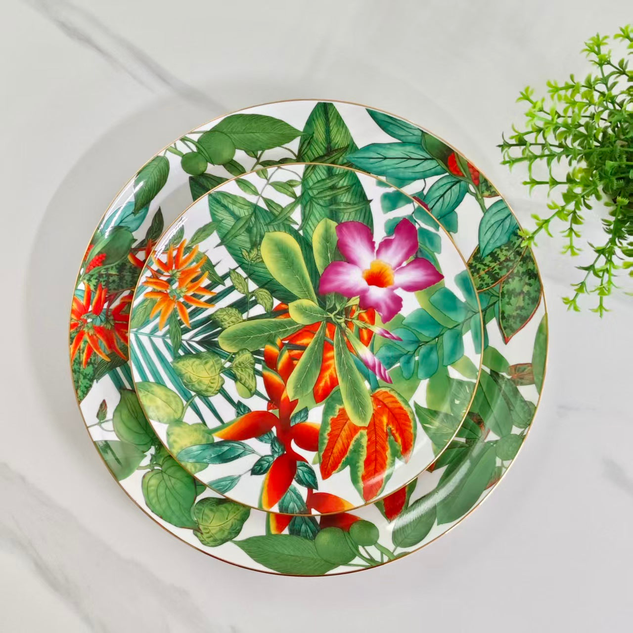 Set di due piatti – "Foresta pluviale tropicale"