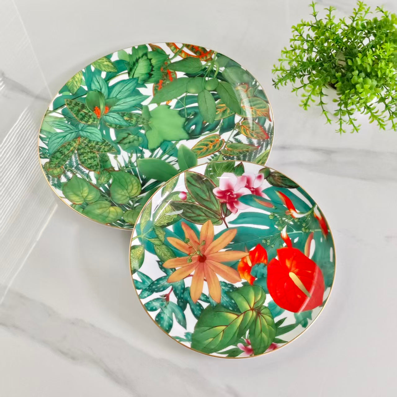 Set di due piatti – "Foresta pluviale tropicale"