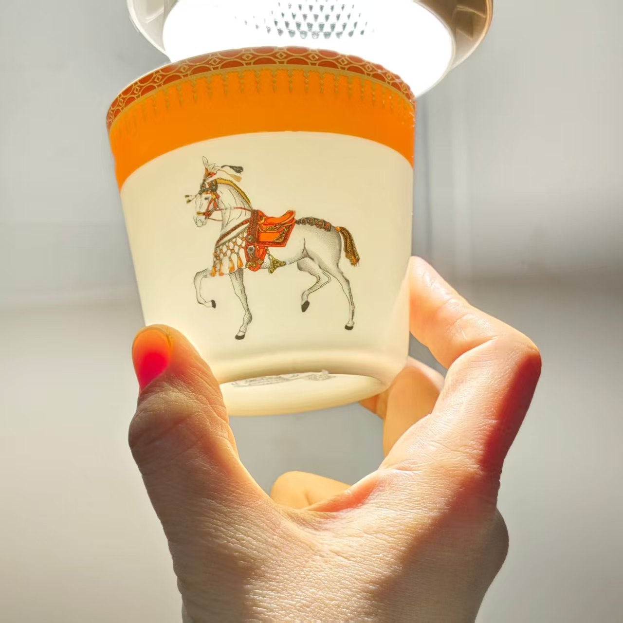 New Arrival – Orange "Single Horse" Design – 10-Piece Set
